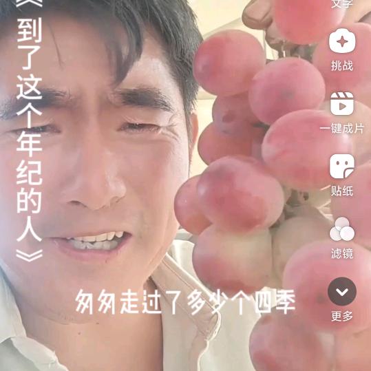 浪漫红颜葡萄种植销售