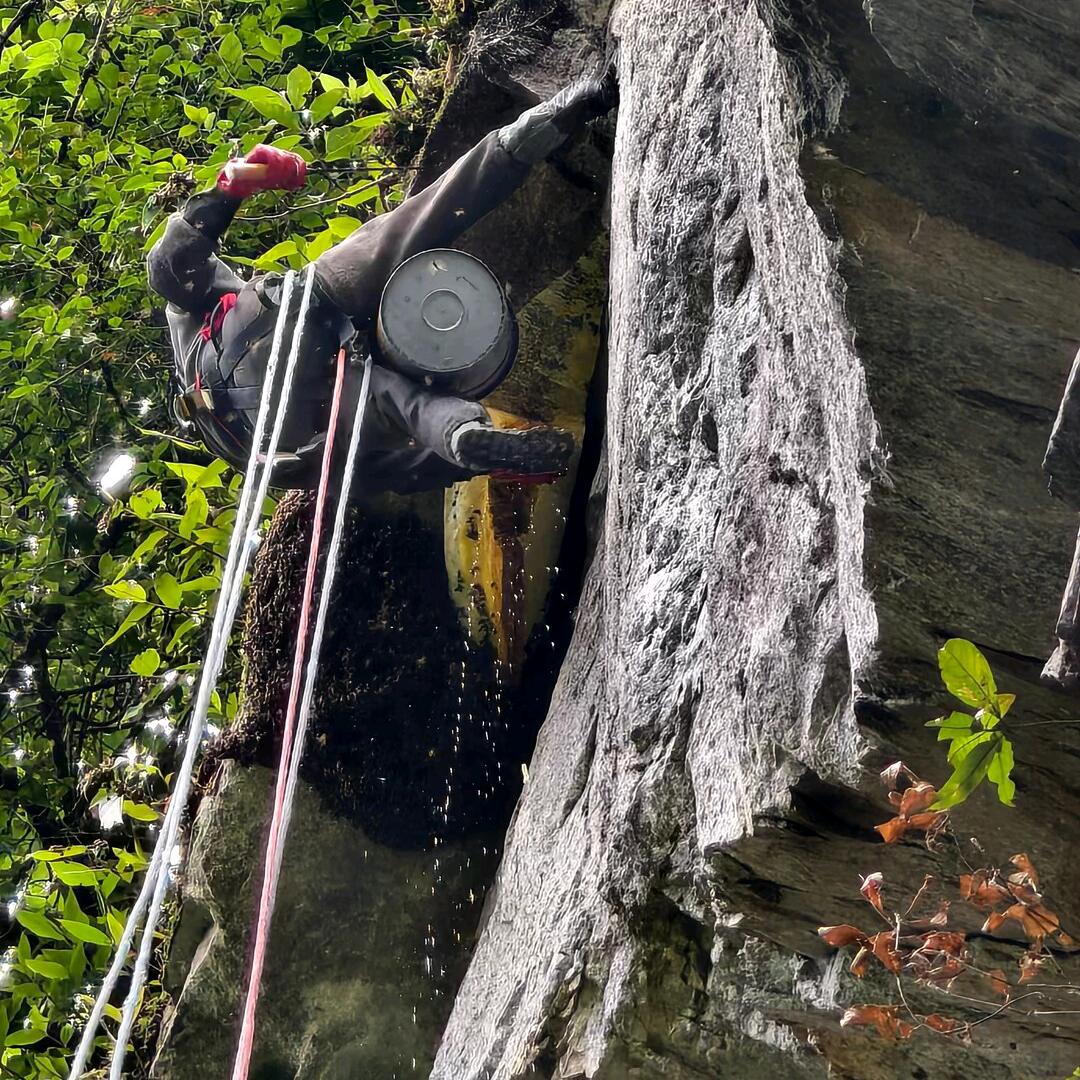 我命由我不由天