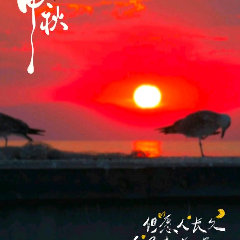夕陽红