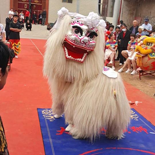 功夫家大胡子舞狮团摄影师