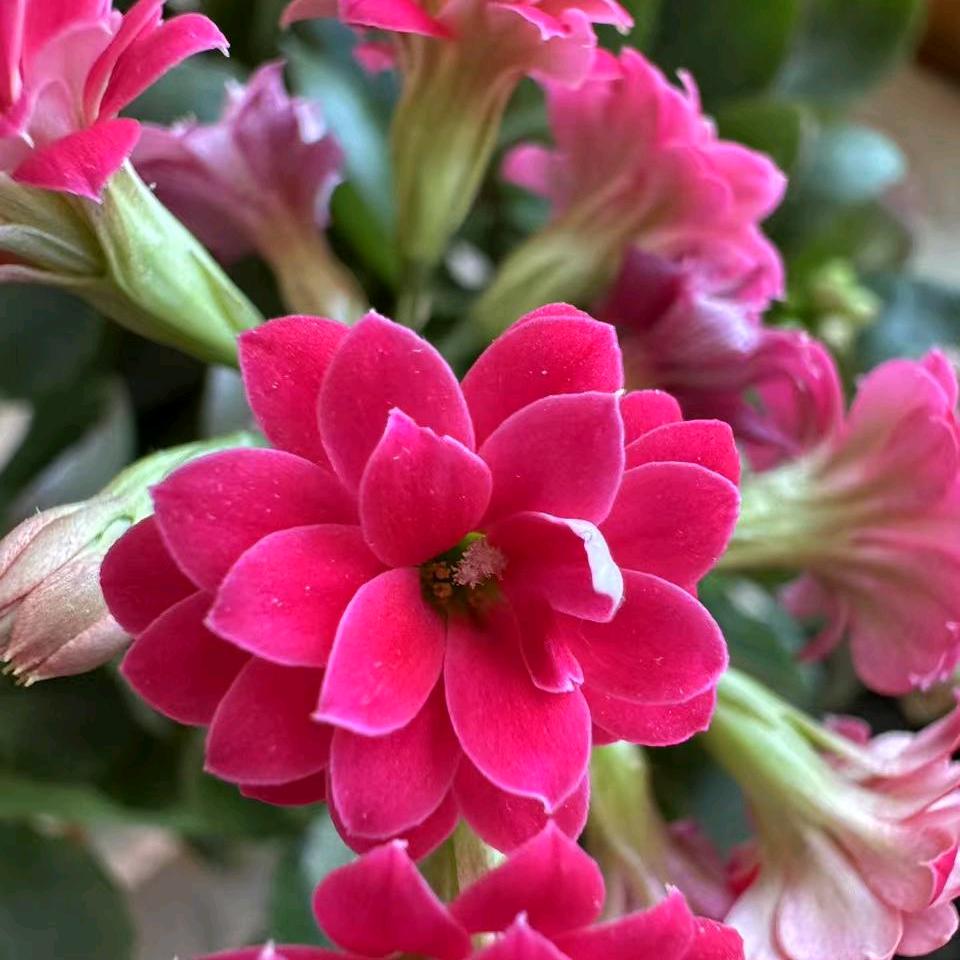 明天慧慧