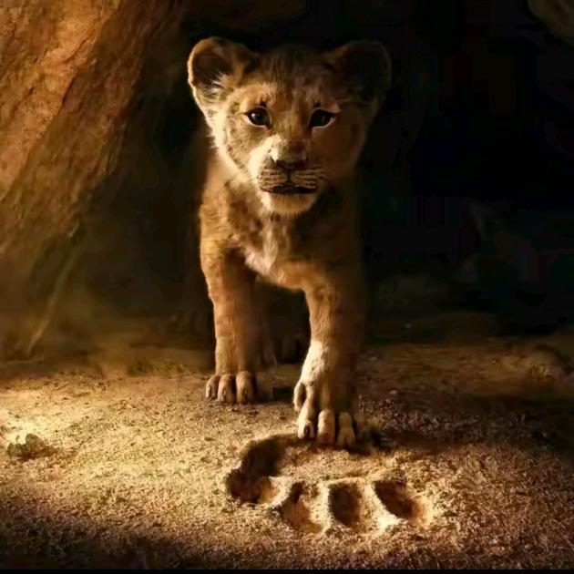 ㅤ ⃝⃝  ⃝⃝  ⃝⃝  ⃝⃝