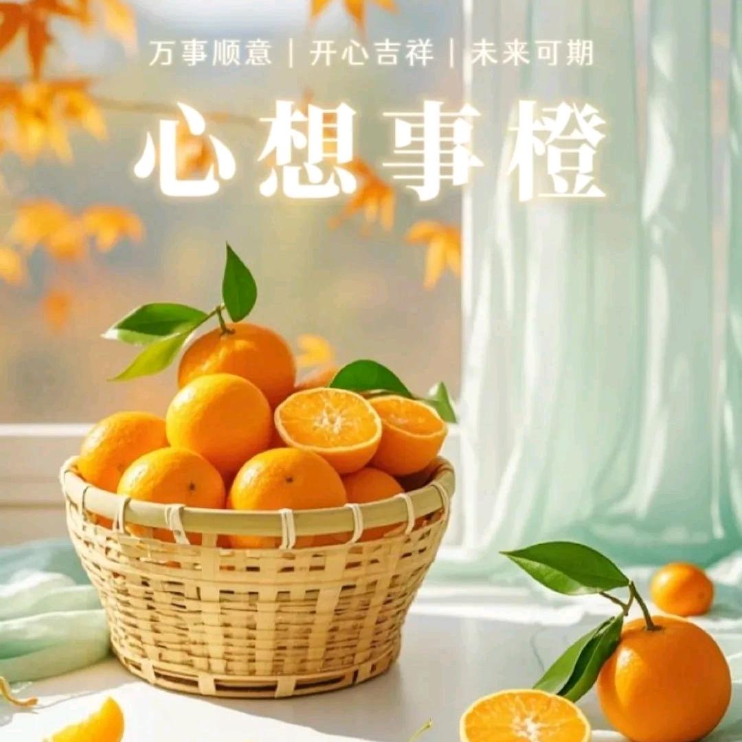 不想jiang道理♥(｡￫v￩｡)♥