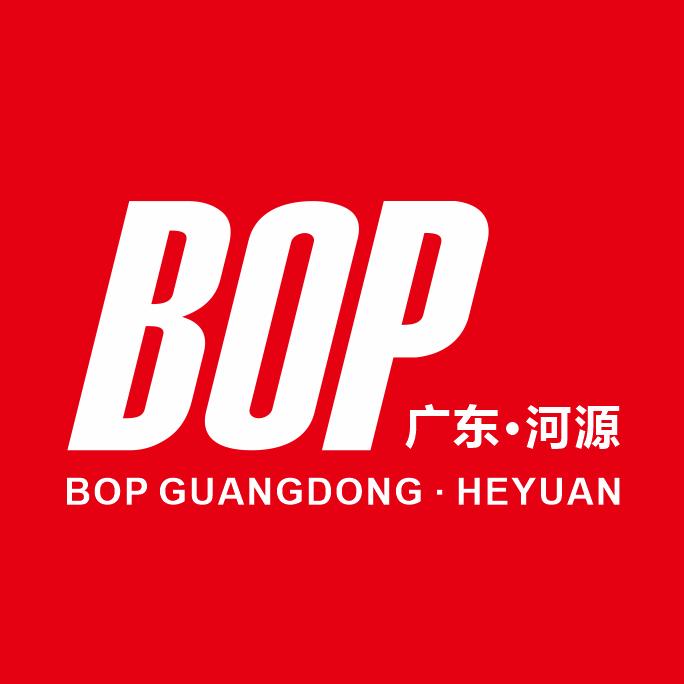 BOP 保镖隐形车衣：波波