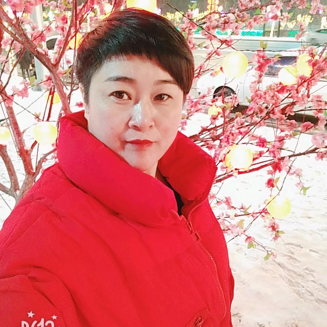 傲雪寒梅