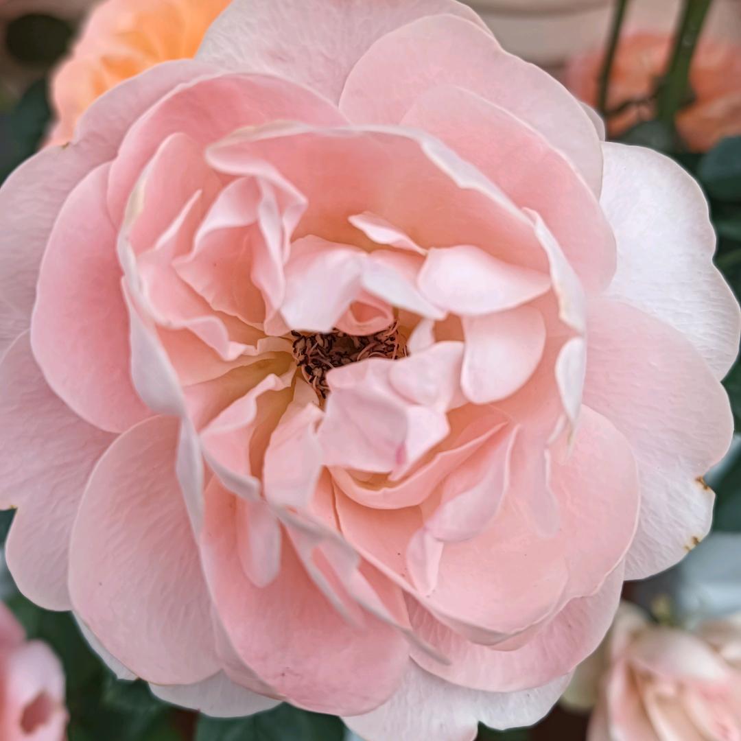 单身帅哥💁🏻‍♂️