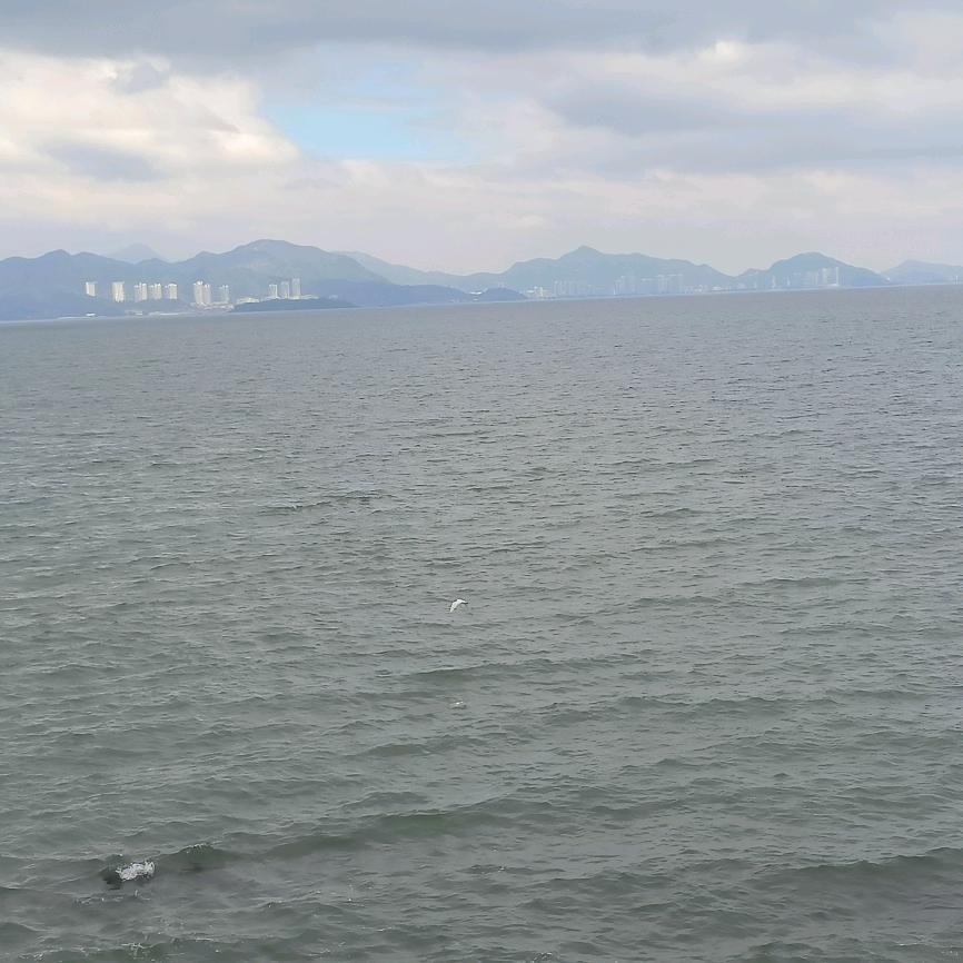 🚬ཀོ神马都是欢喜💕 ❧⁵²⁰