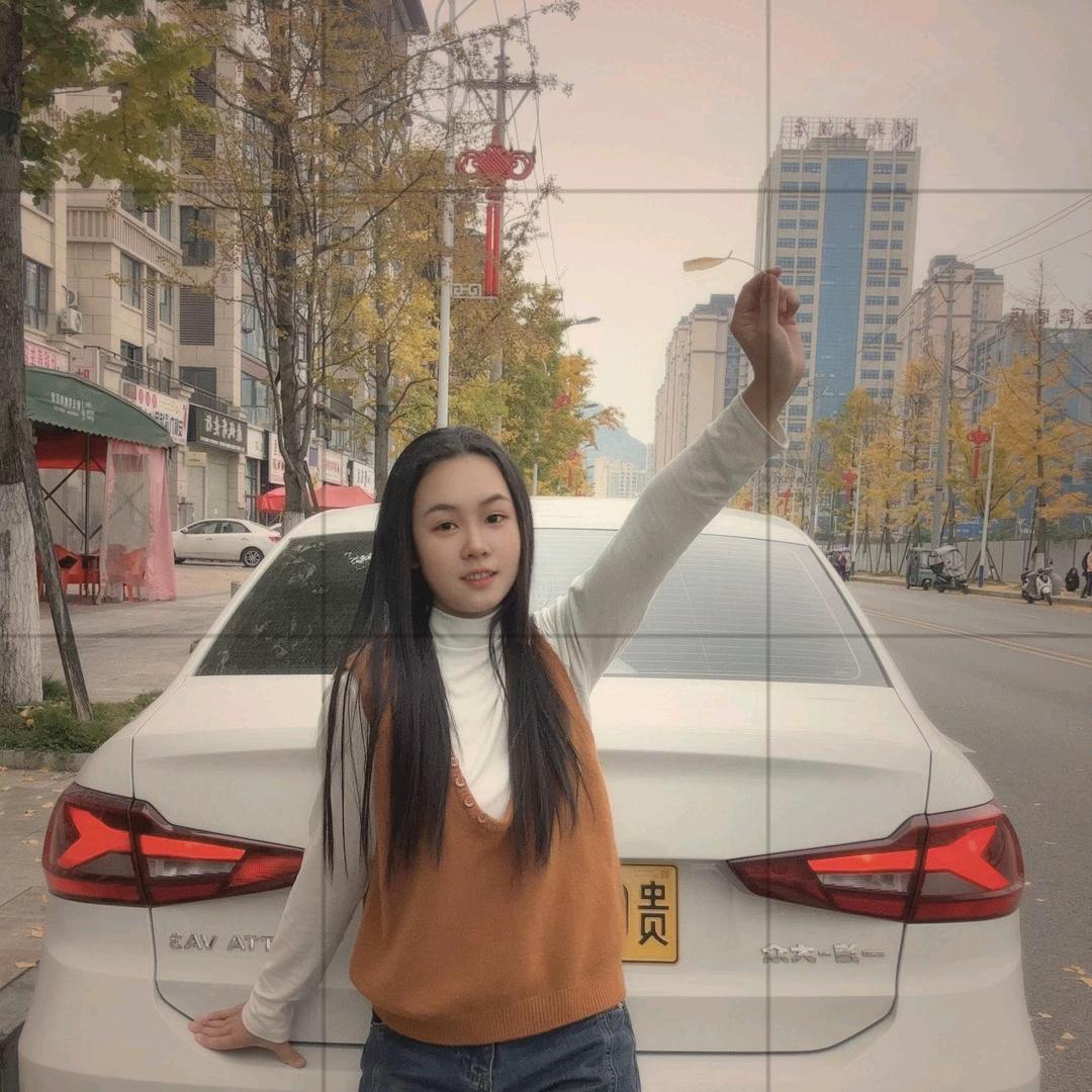 发呆的小绵羊