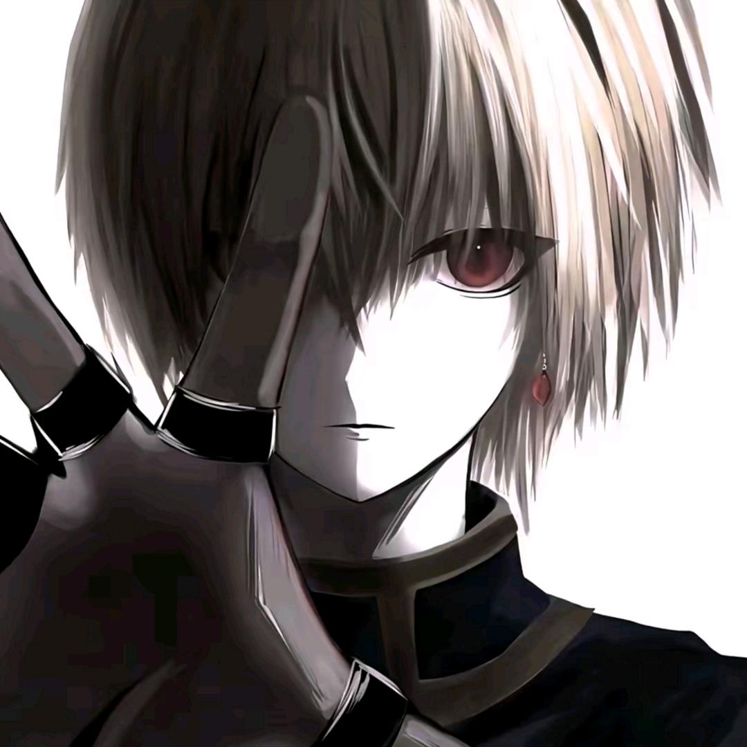 猫猫不吃落泪鱼