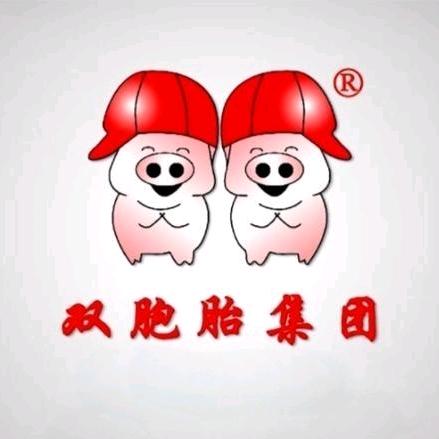 双胞胎生猪客户开发猪儿跑