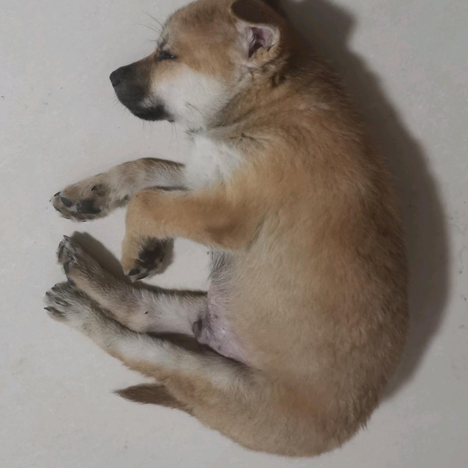 东风成长日记