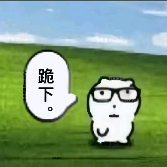 蕾塞