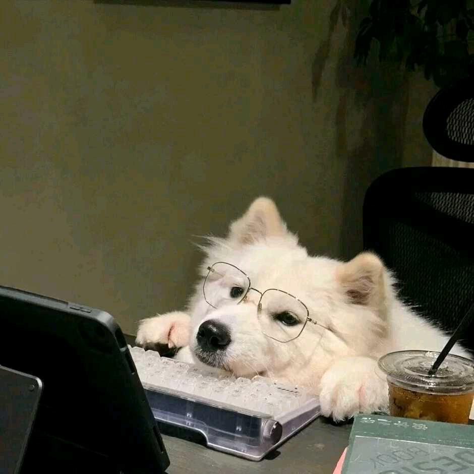 𝙍𝙊𝘾𝙆𝙀𝙏𝙎