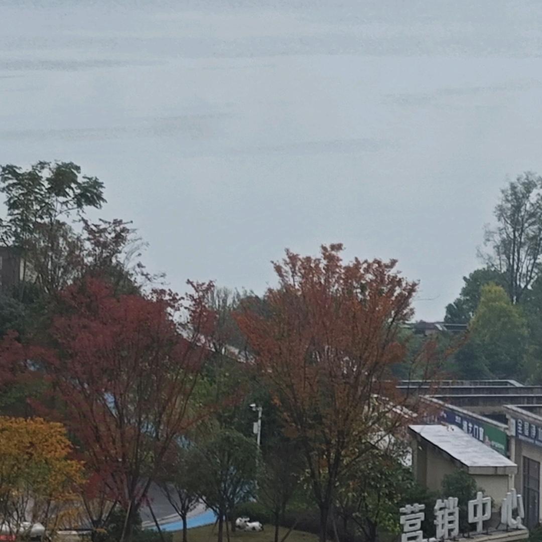 粉雾海岸