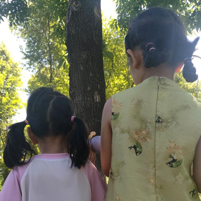 学习资料分享