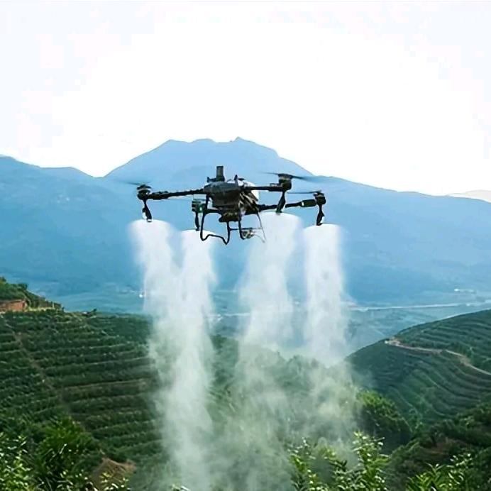 绿野先锋━刘师