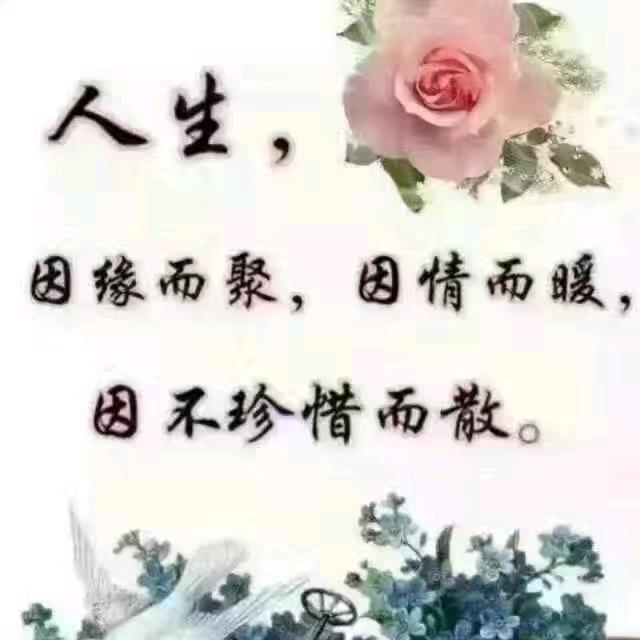 无情