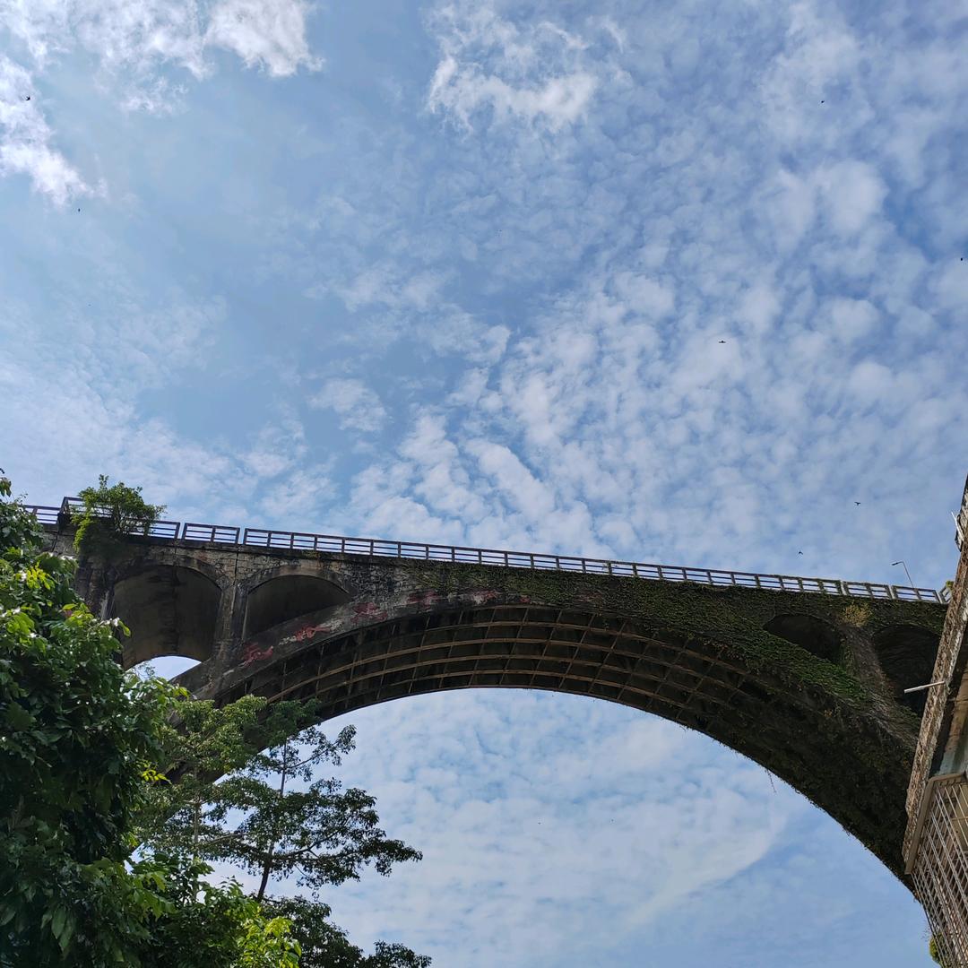 扁竹的乐憩生活