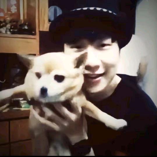 我是一头大肥猪