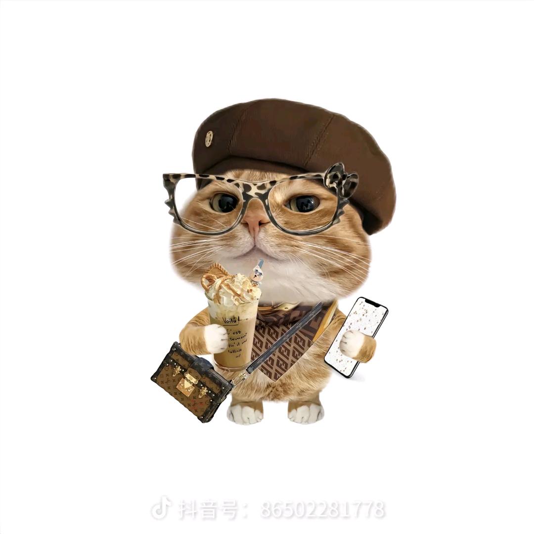 丸蛋^