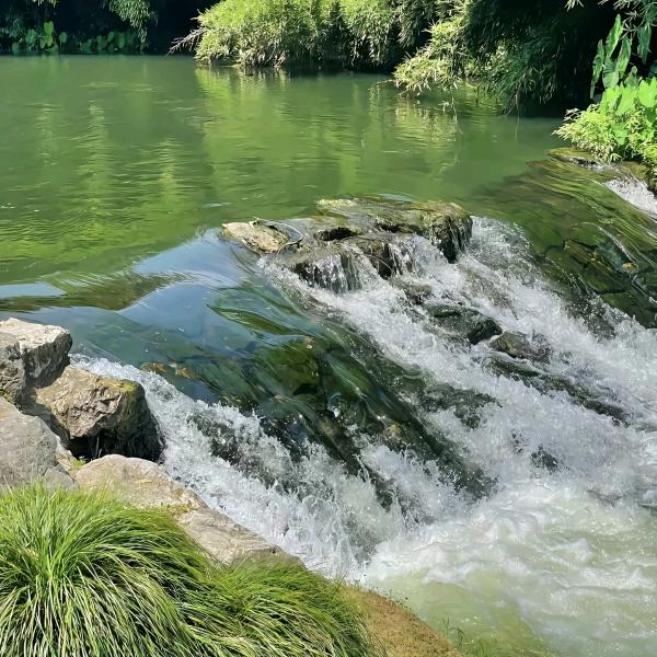 陆丰市东海玉侯茗设计馆（个体工商户）