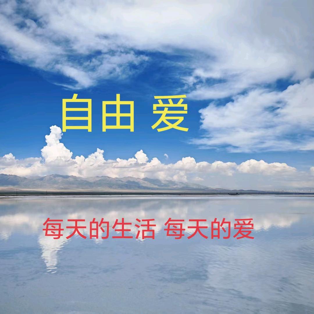 胖胖好物递