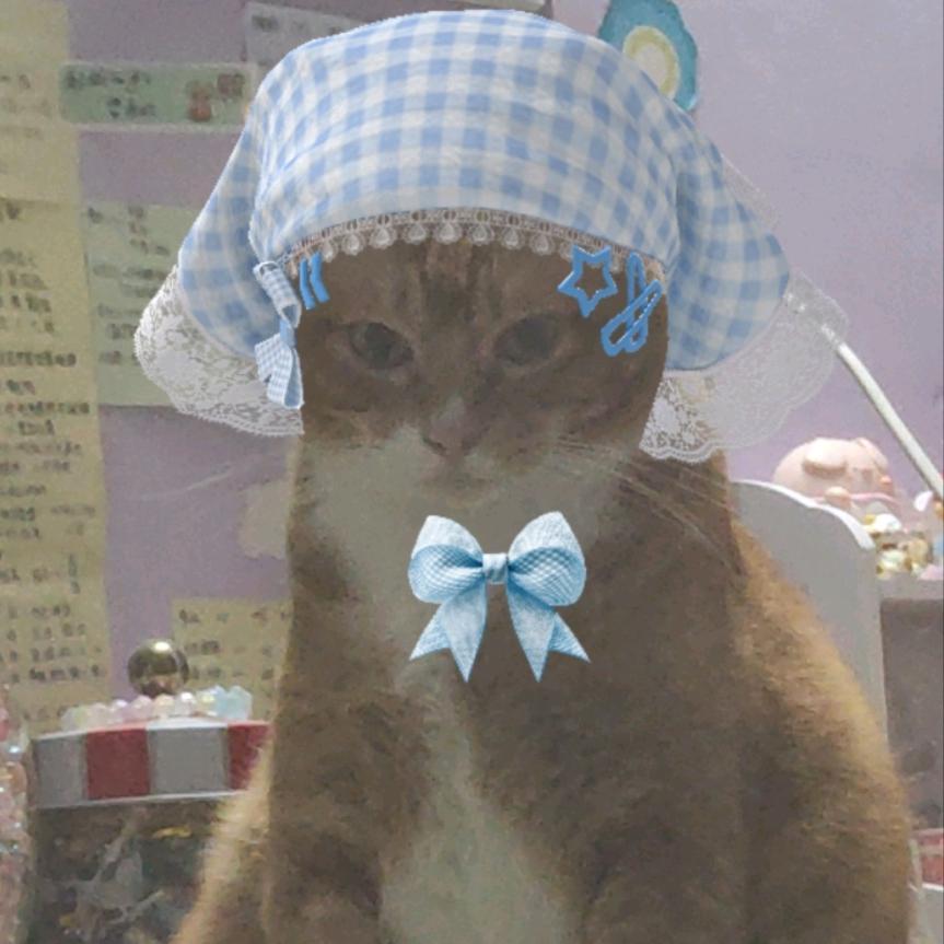 点点DIY潮玩好物