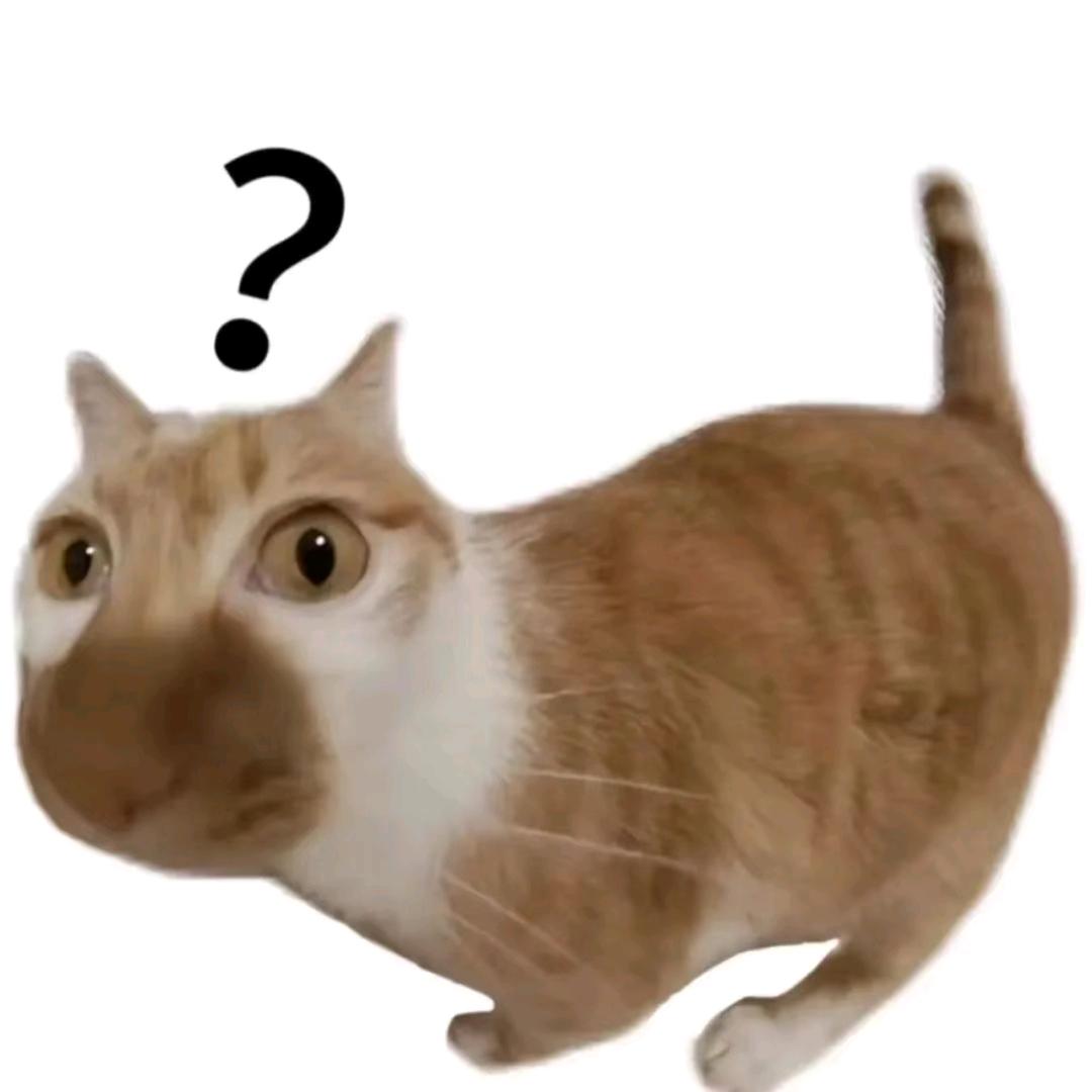 可乐电竞-岚荻（暗区突围pc）