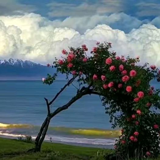 云南升学就业规划（专升本）