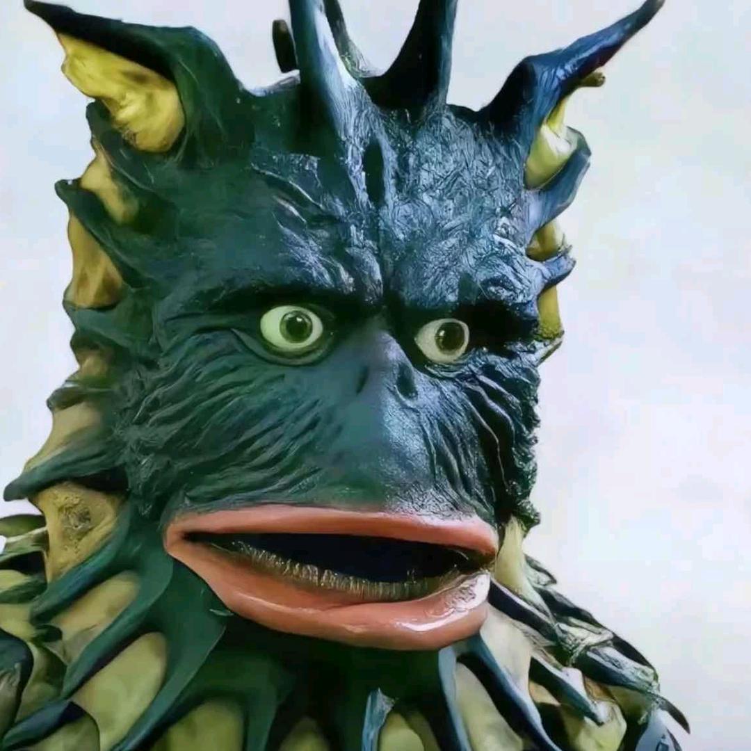 翁念念