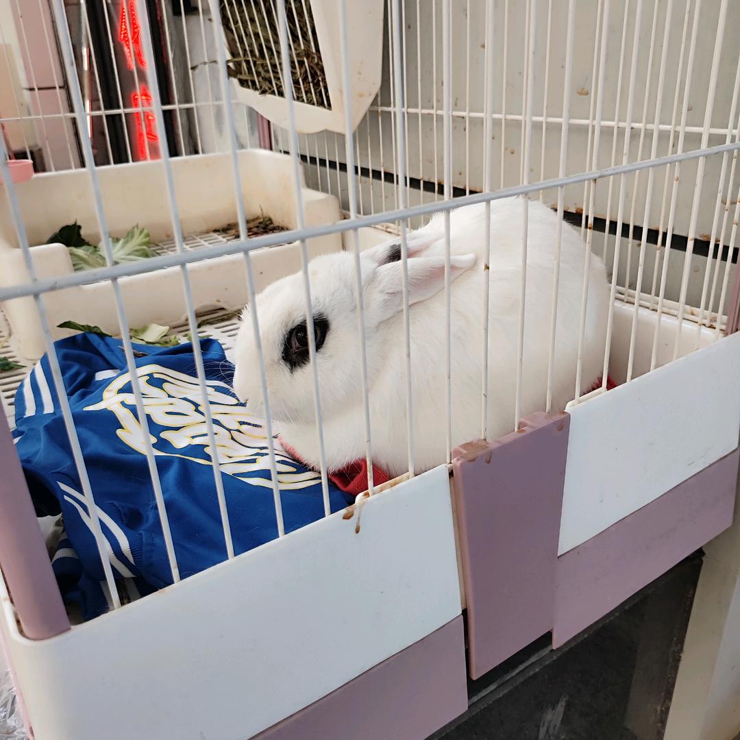 萧笙