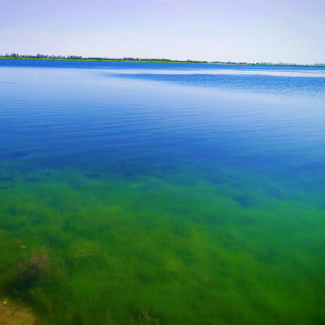 站在高处看世界