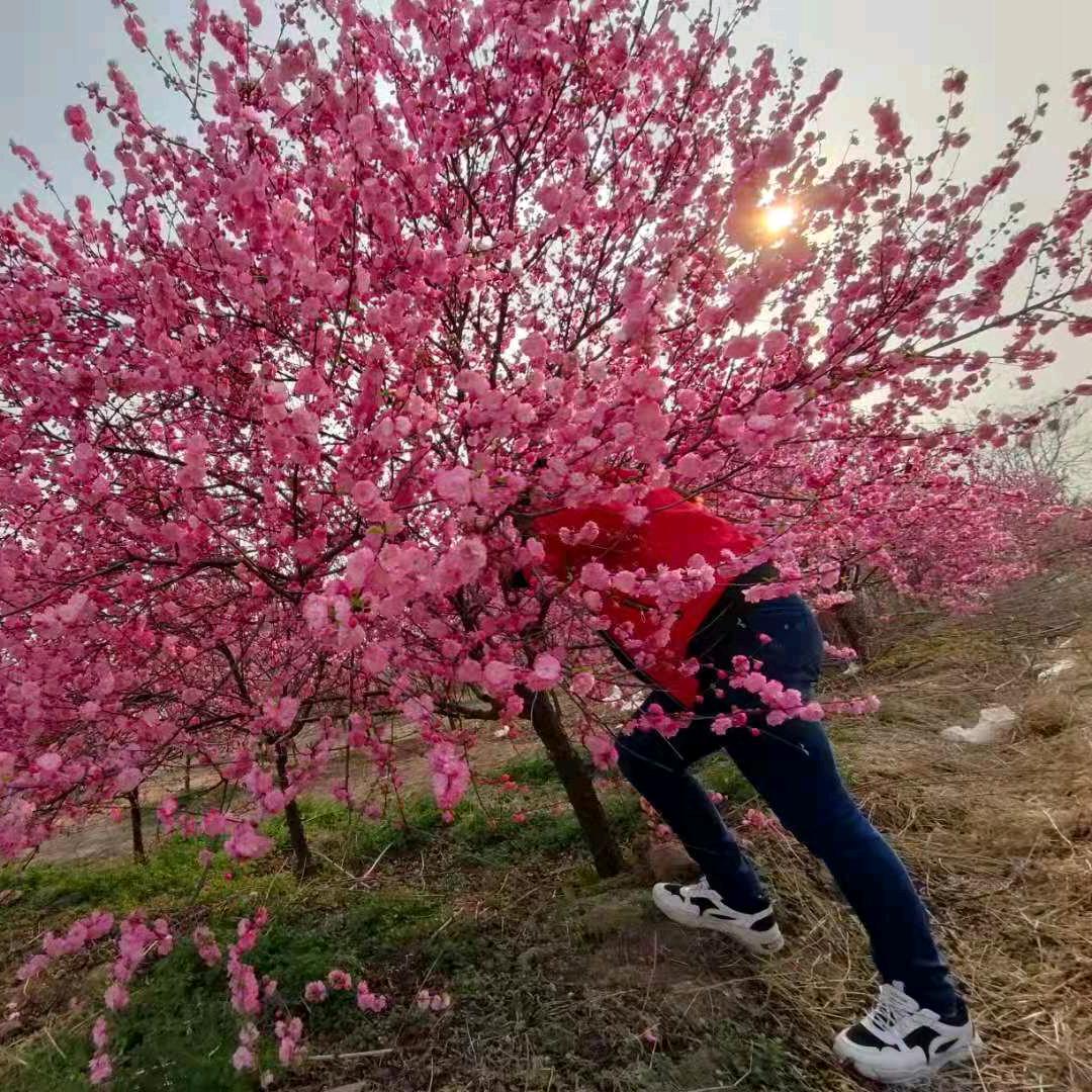 寒寒