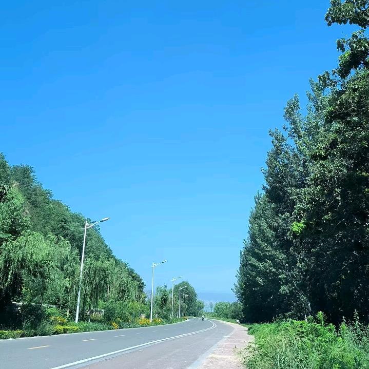 燕儿