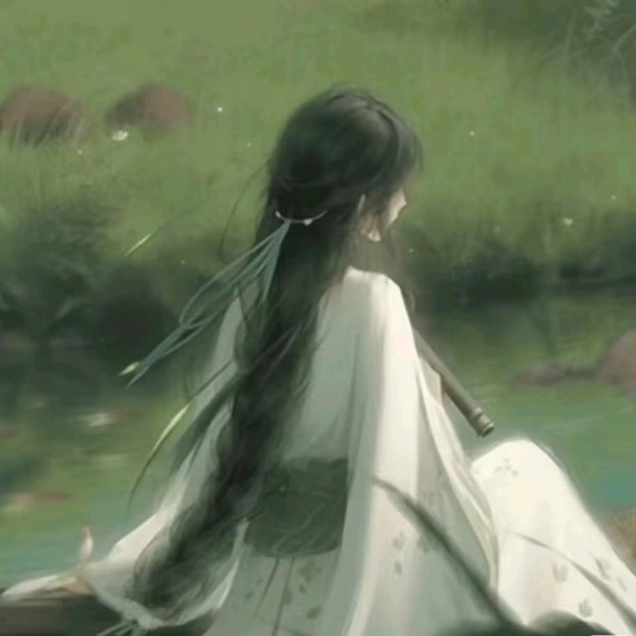 紫菀