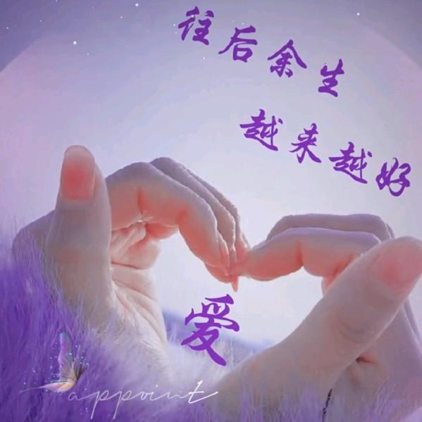 飞蛾扑火