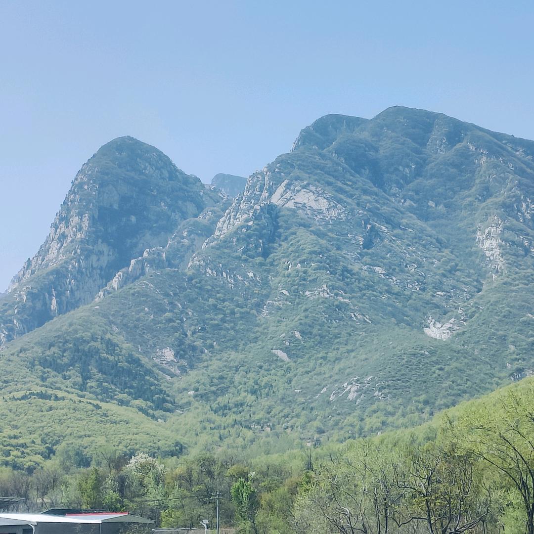 山里娃⛰️
