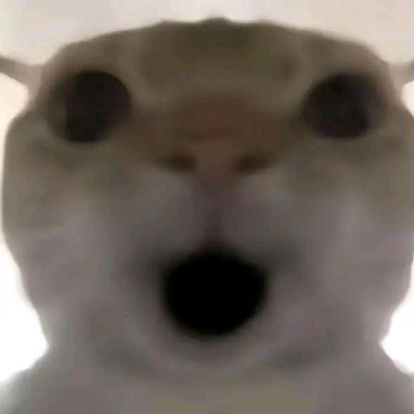 暗区pc-小帅同学