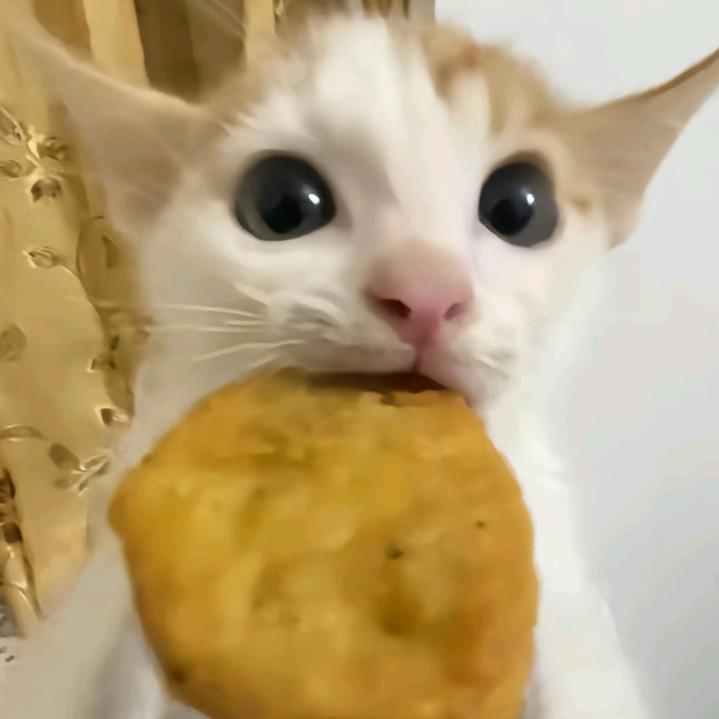 命苦与生俱来