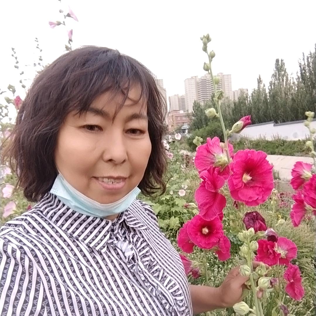 玲姐，晚上，7点40开播，