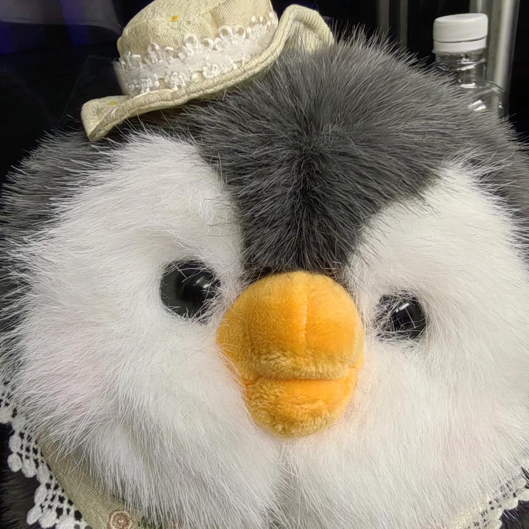 小⭐坚持早睡早起