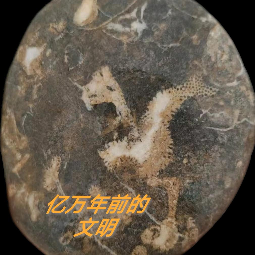 百炼成钢·凯撒