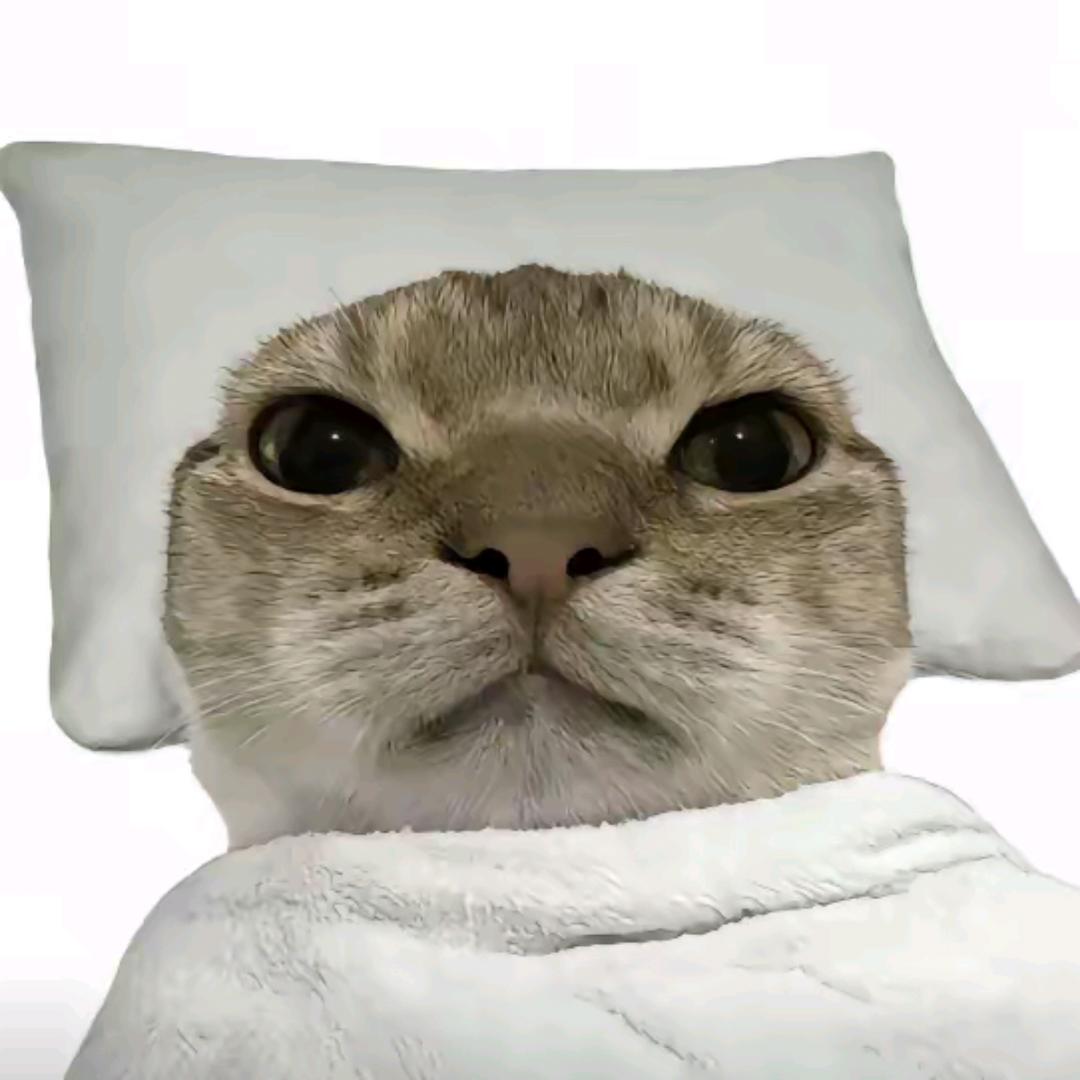 Uu！