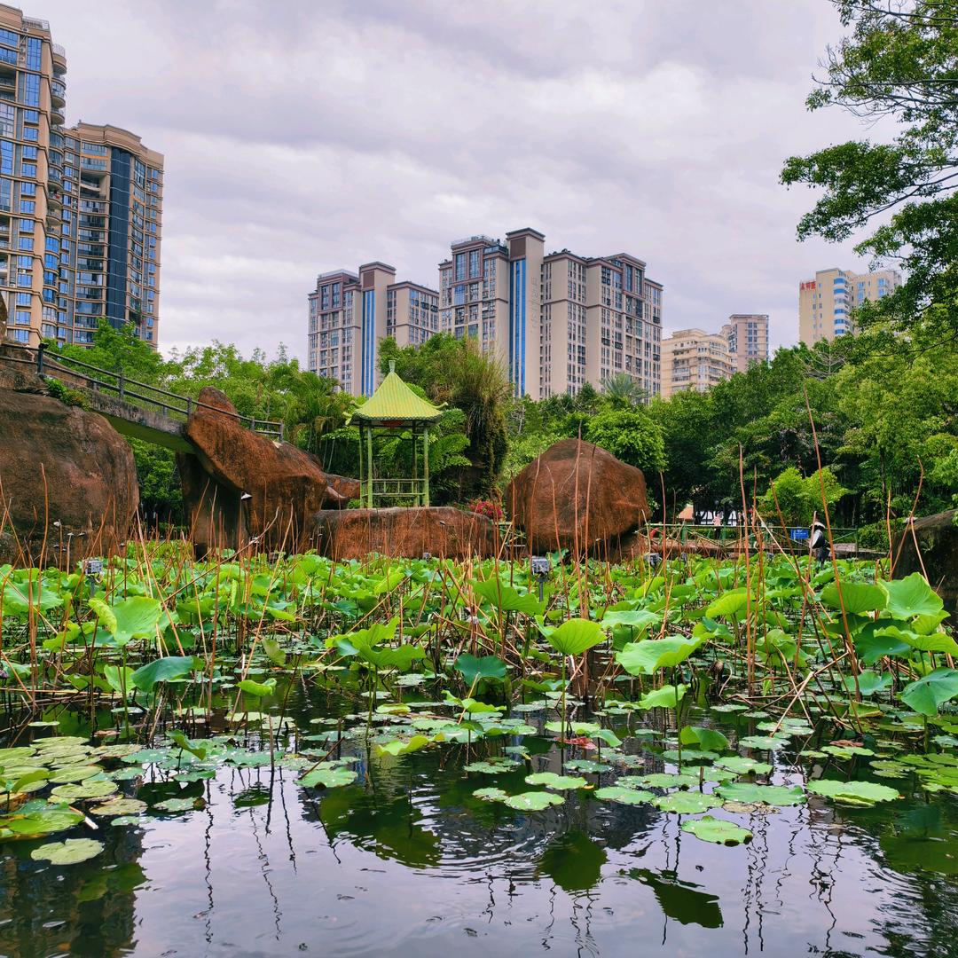 李彦臻（添行健经络馆）