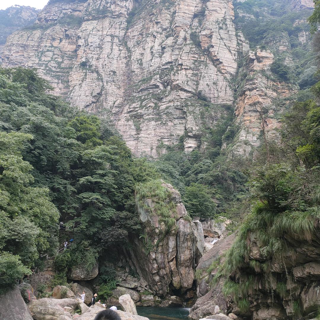 小黄逗豆