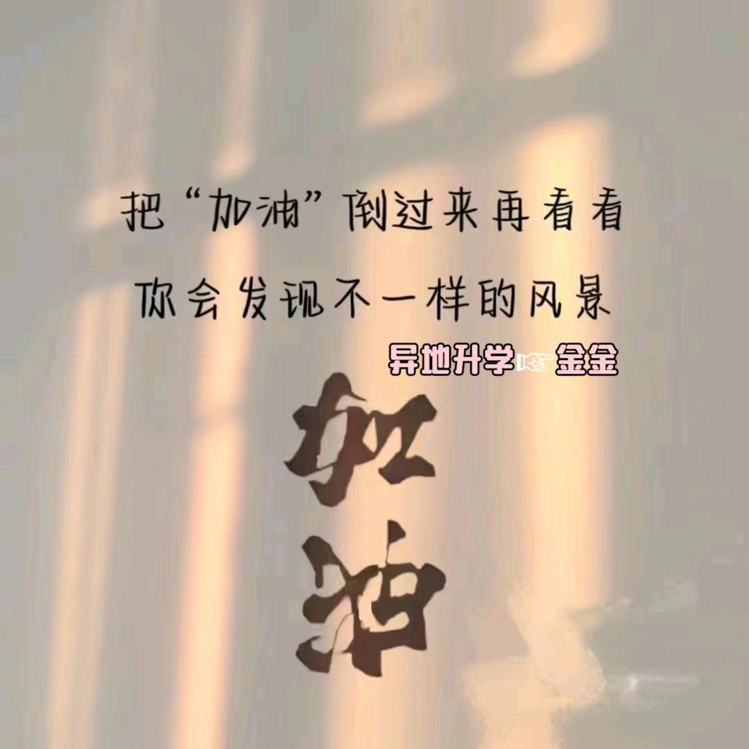 升学规划金金