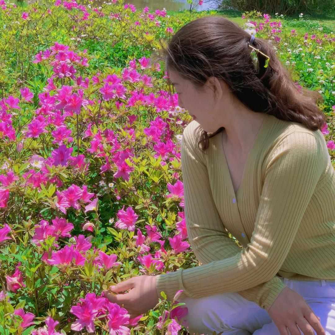 阳光下盛开的花朵