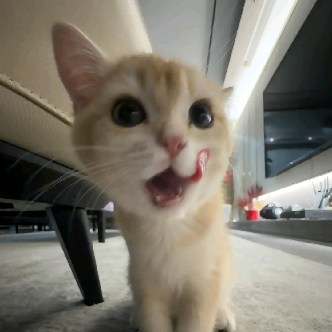 蹙眉