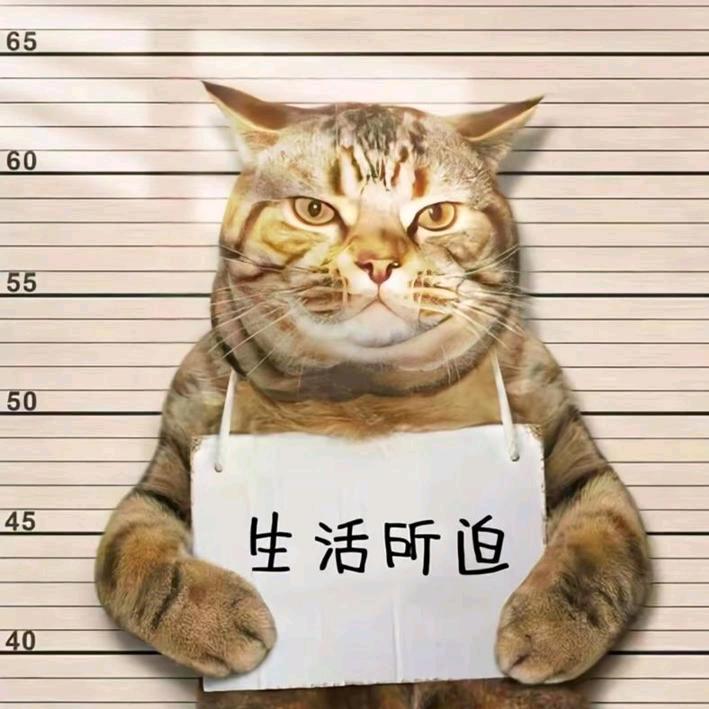 大海的快乐日常