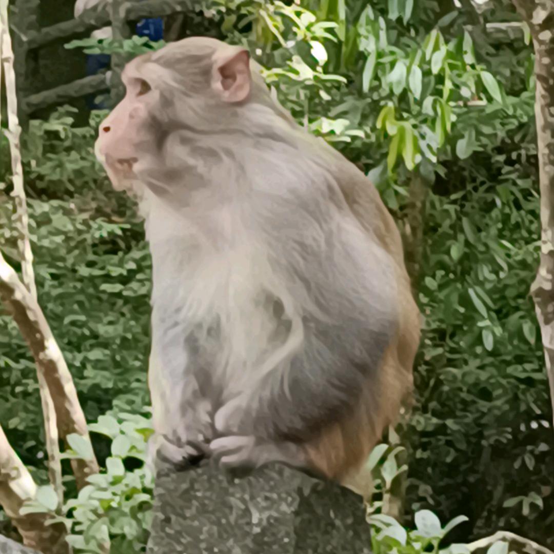 琉燕朦胧若水流 清泠水光忧璃瑞